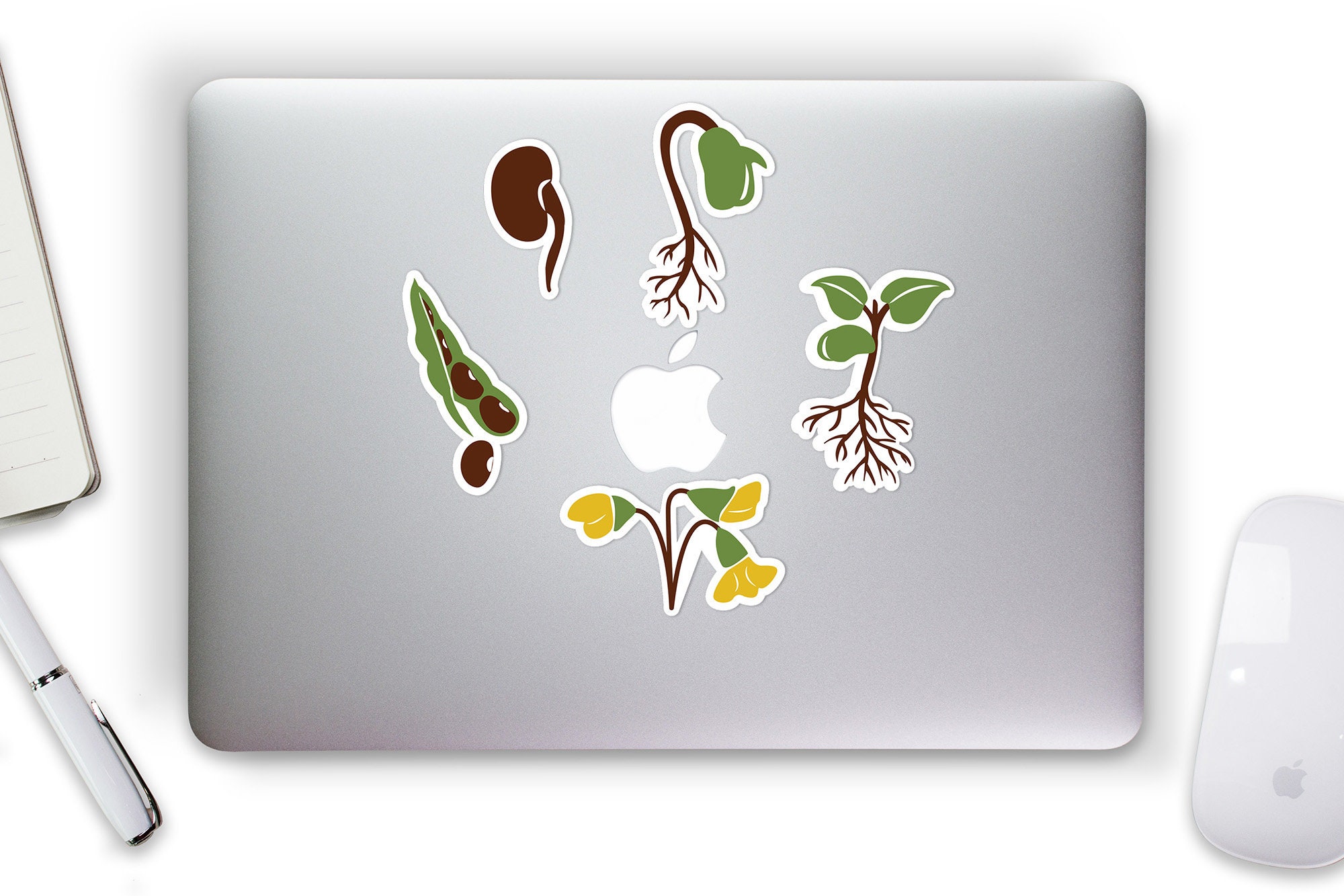 Bean Plot Sticker Bean Life Cycle Sticker Set - Etsy