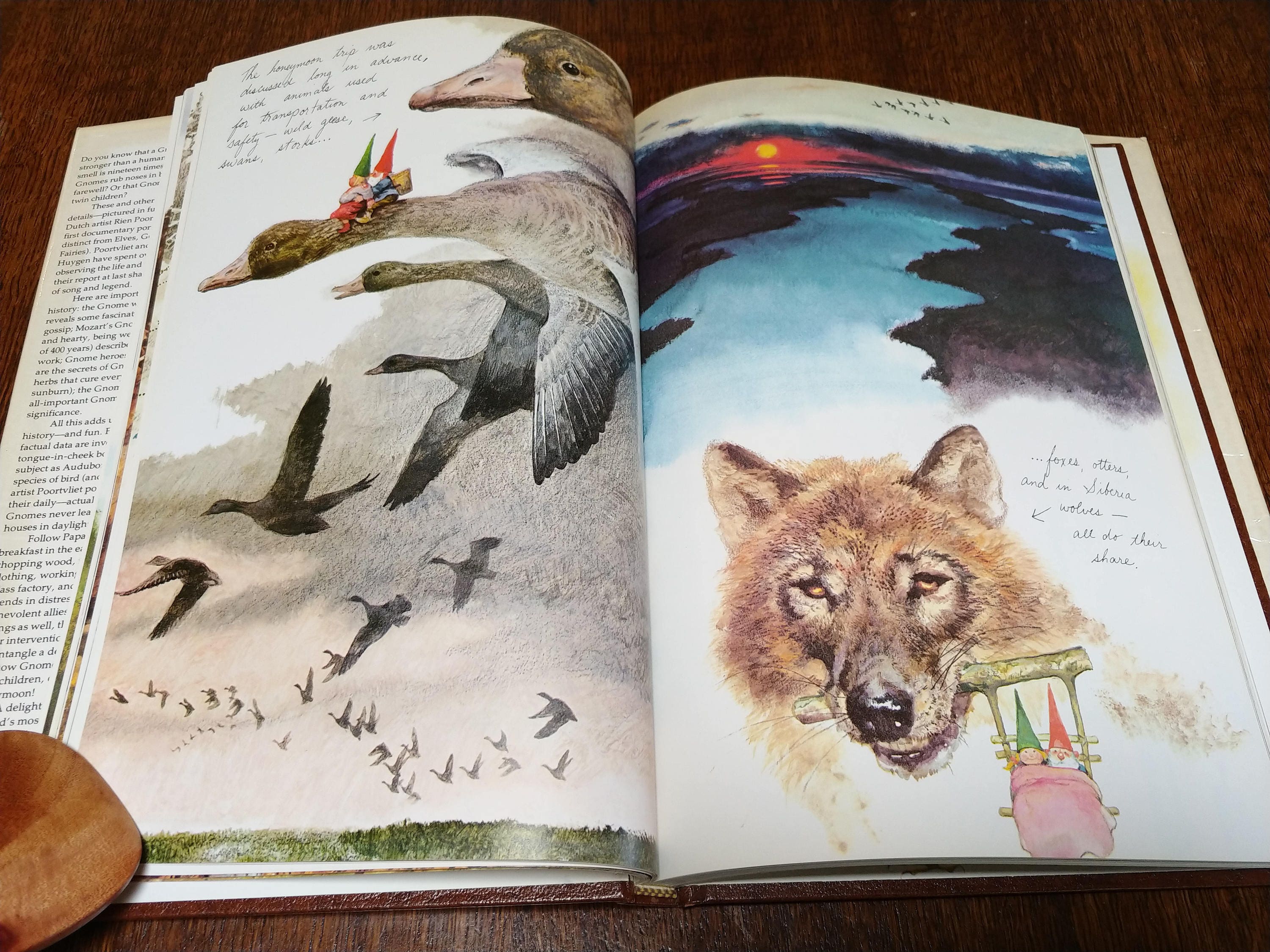 wil huygen books wil huygen books