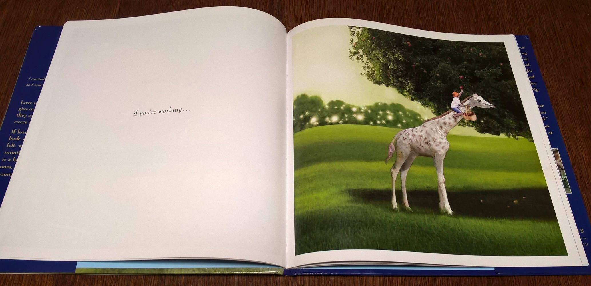 Wherever You Are My Love Will Find You by Nancy Tillman First Edition Childrens Books