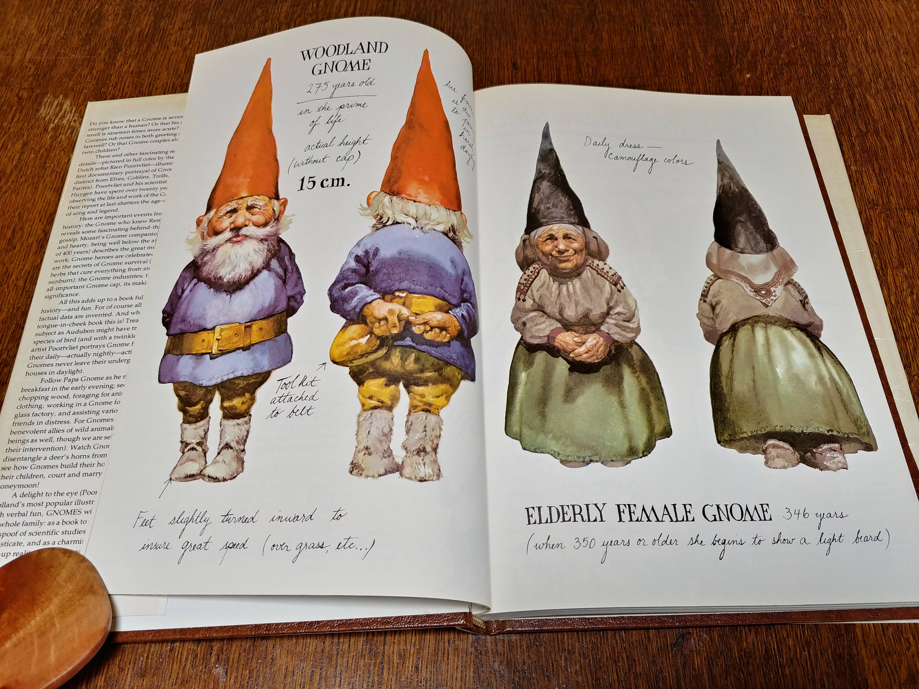 gnomes by wil huygen gnomes by wil huygen