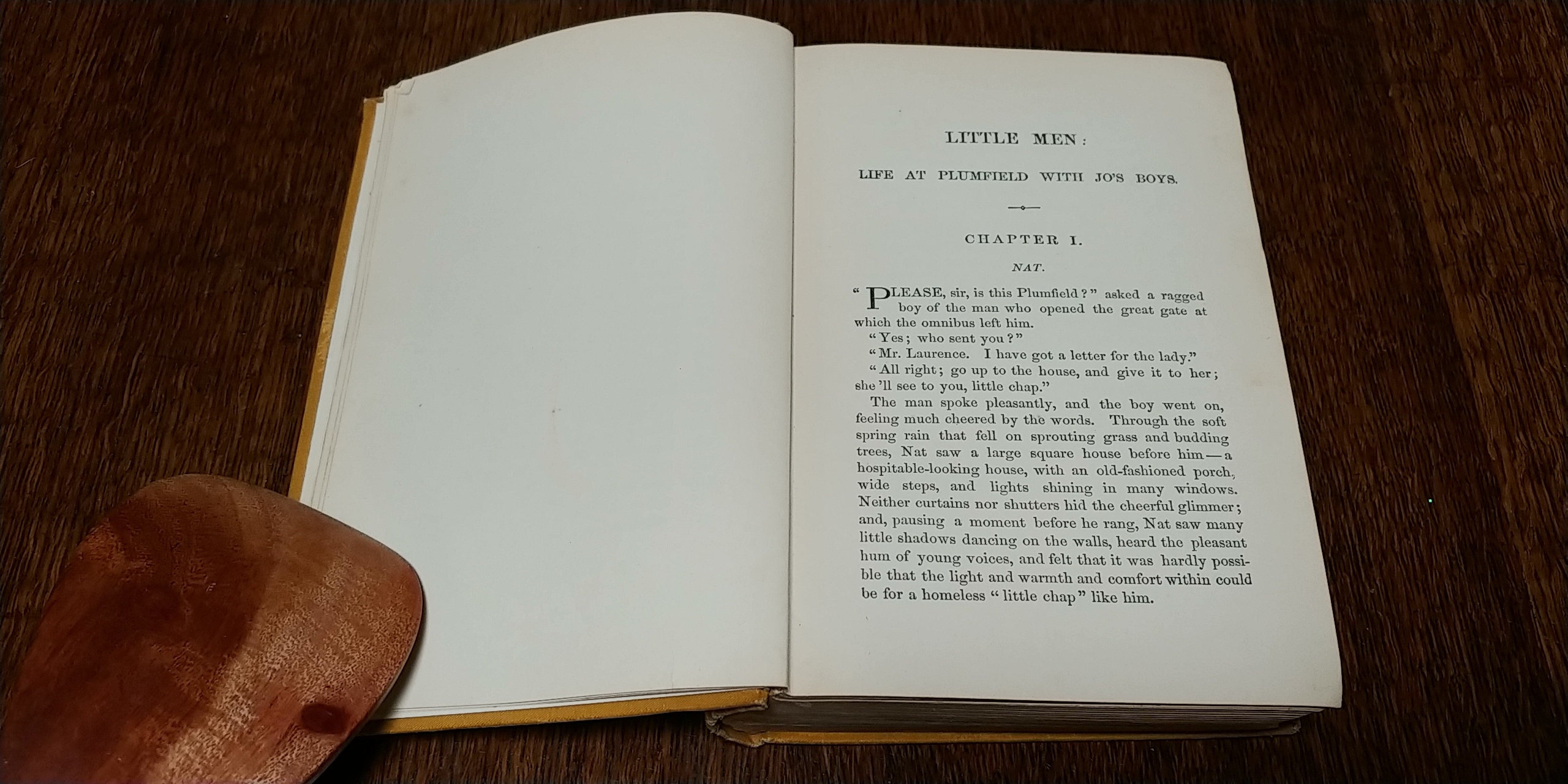 1890 Little Men by Louisa May Alcott First Edition Children's Books Antique Book, Little