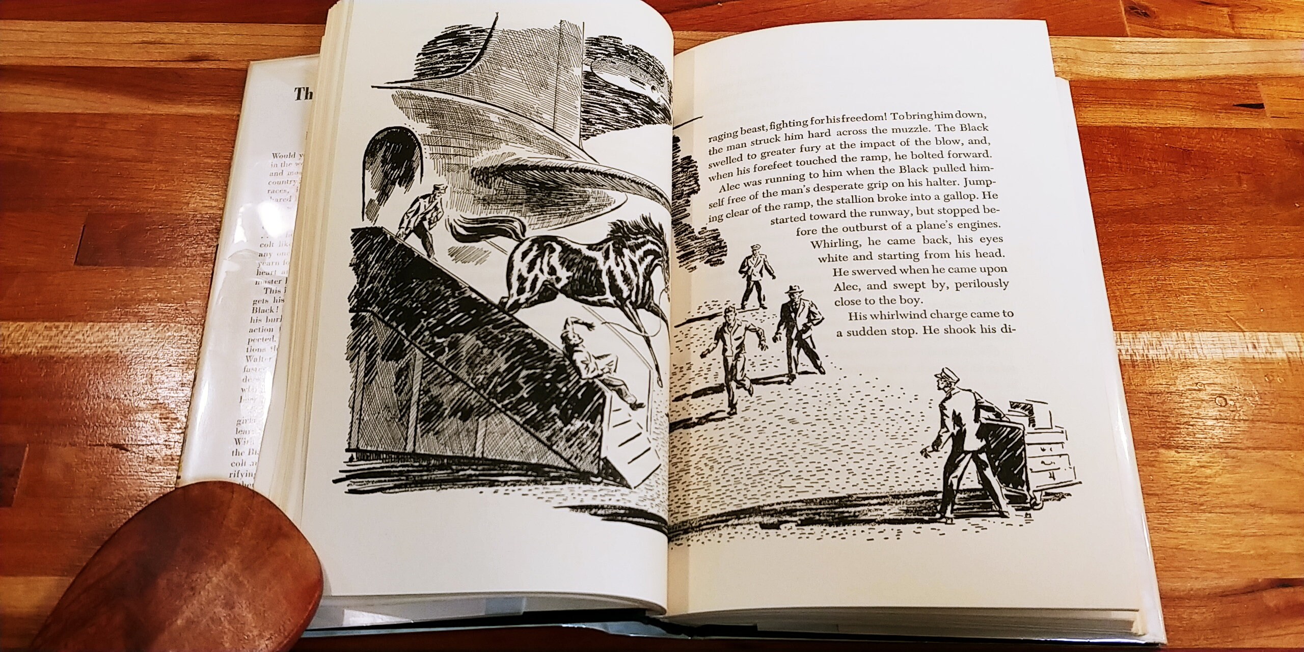 The Black Stallion and Satan by Walter Farley First