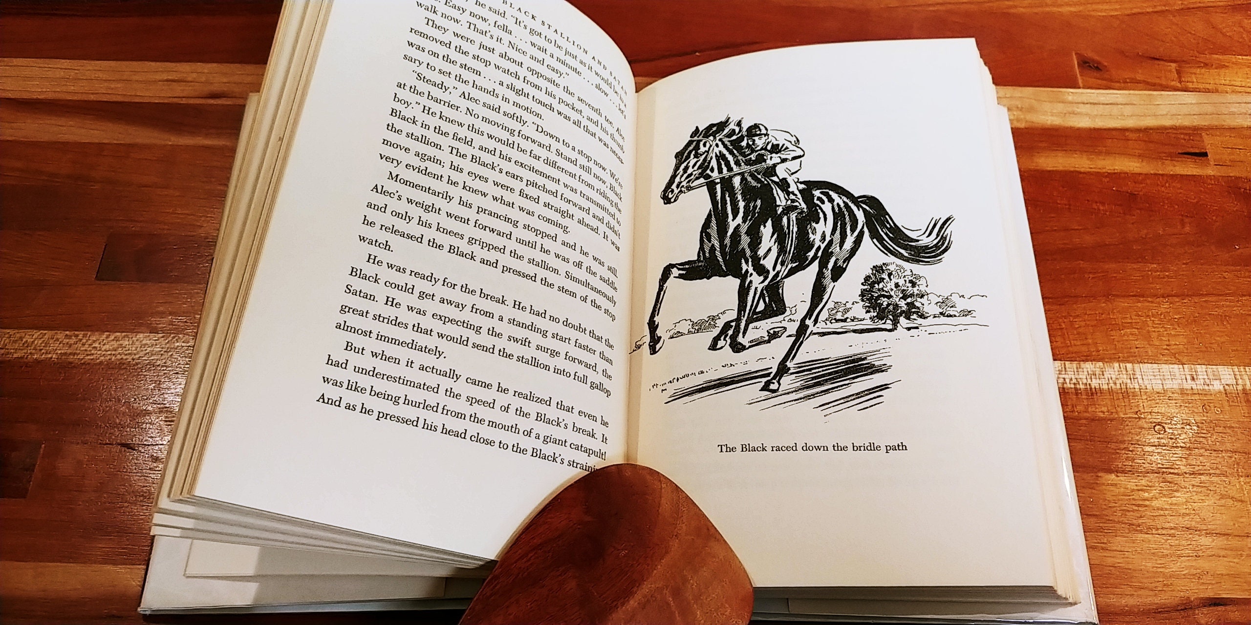 1949 The Black Stallion & Satan Plus 3 More Vintage Horse Books