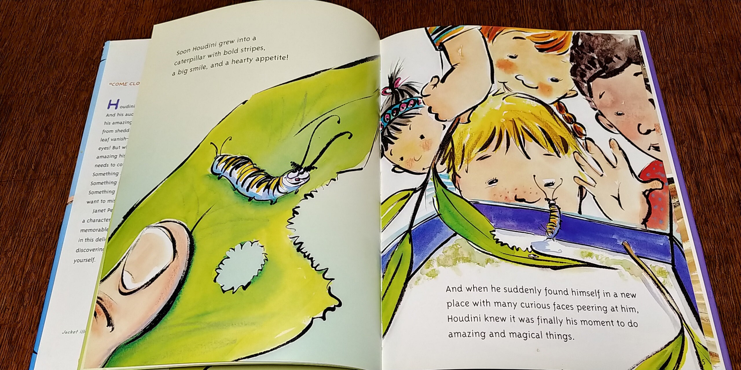 houdini the amazing caterpillar houdini the amazing caterpillar