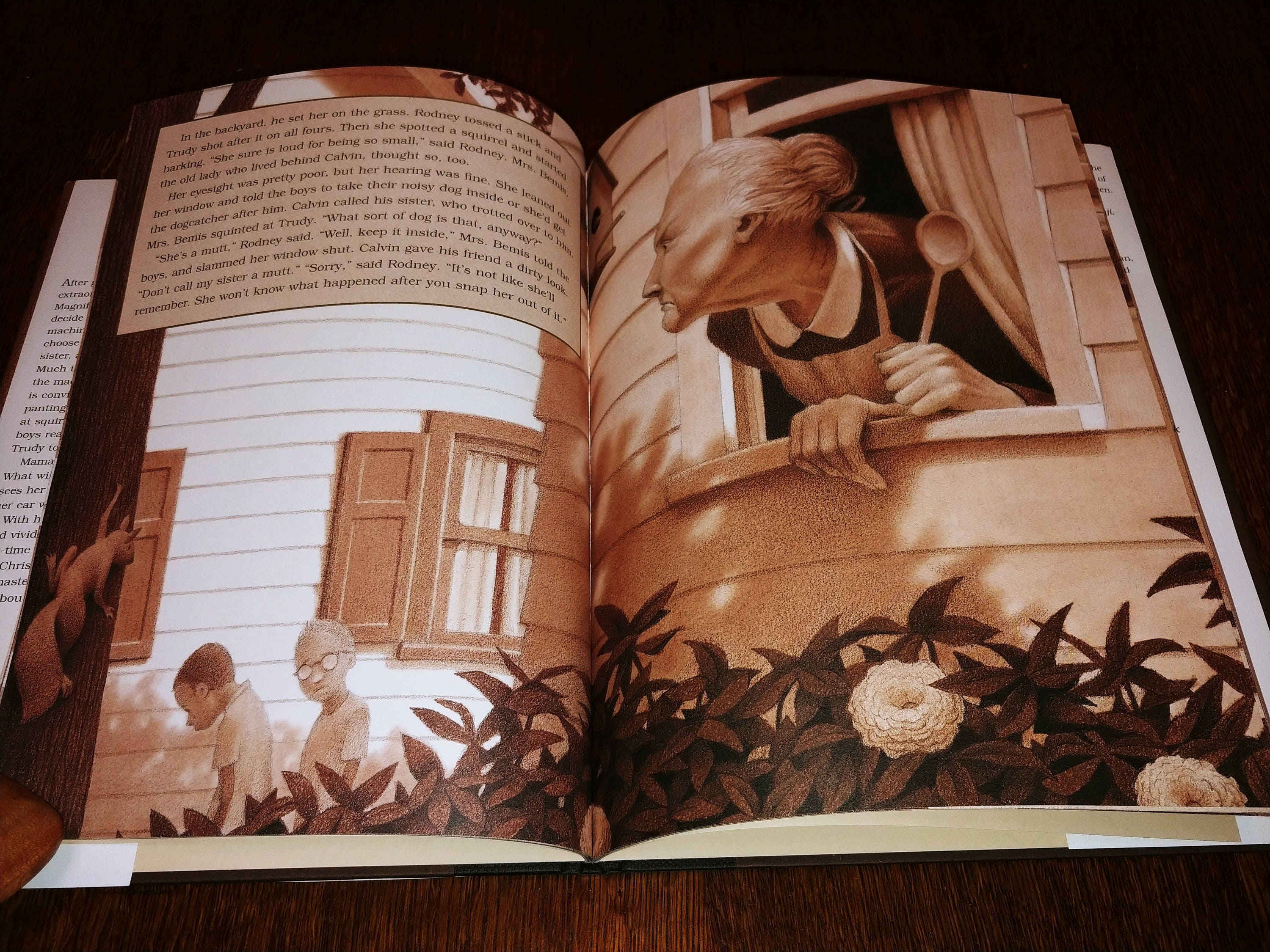 probuditi-by-chris-van-allsburg-first-edition-children-s-books