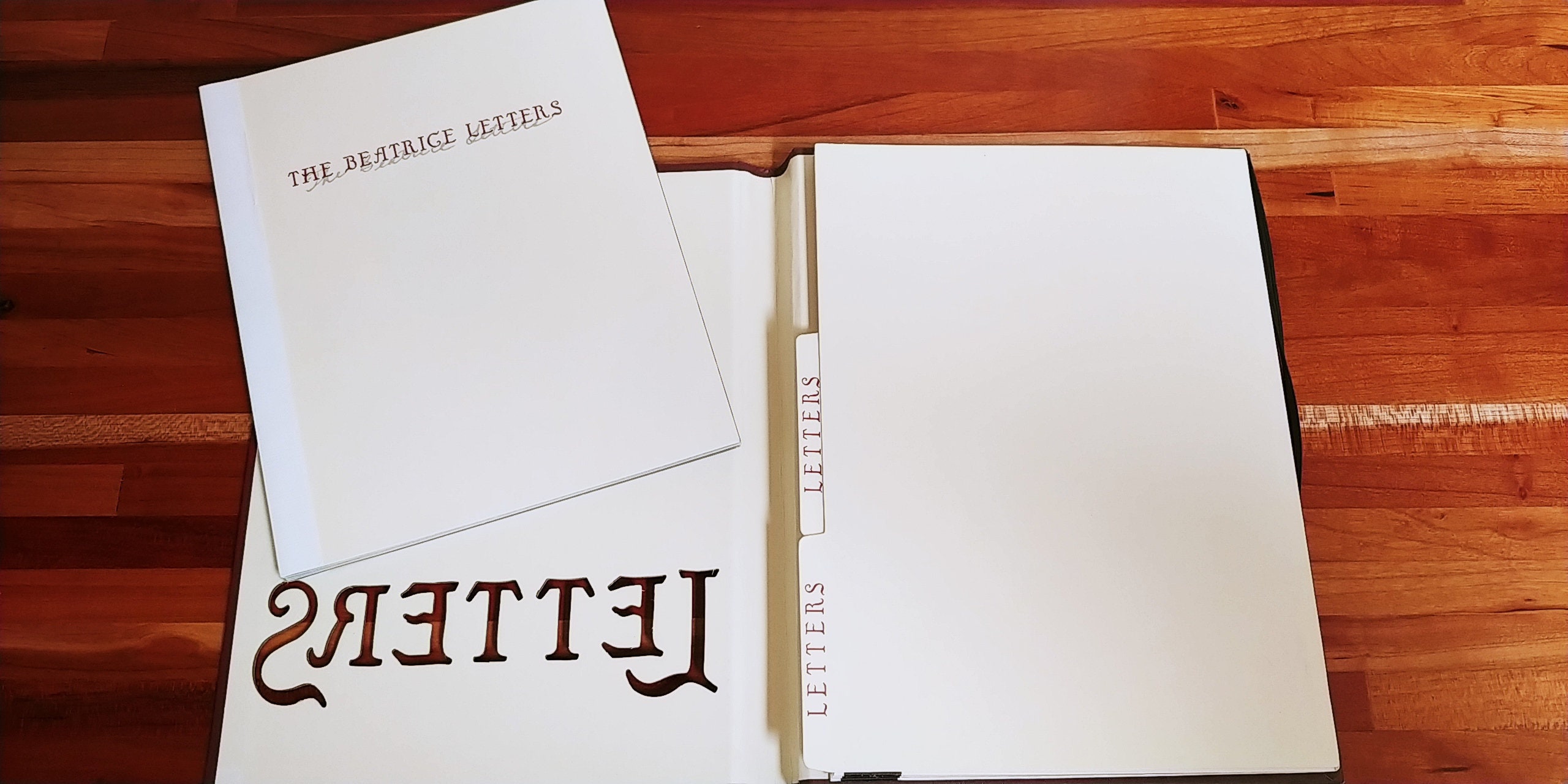 The Beatrice Letters by Lemony Snicket Brett Helquist A Series of Unfortunate Events First