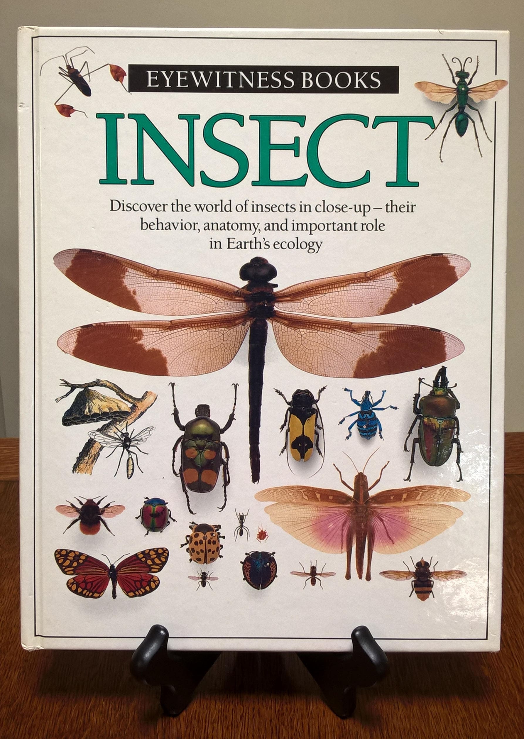The Book Of Human Insects Read Online Insect - Eyewitness Books - Lawrence Mound - First Edition Children's