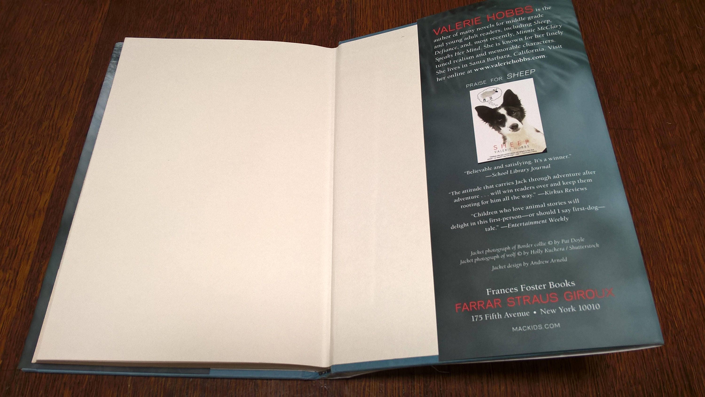 Wolf by Valerie Hobbs 2003 First Edition. Etsy Canada