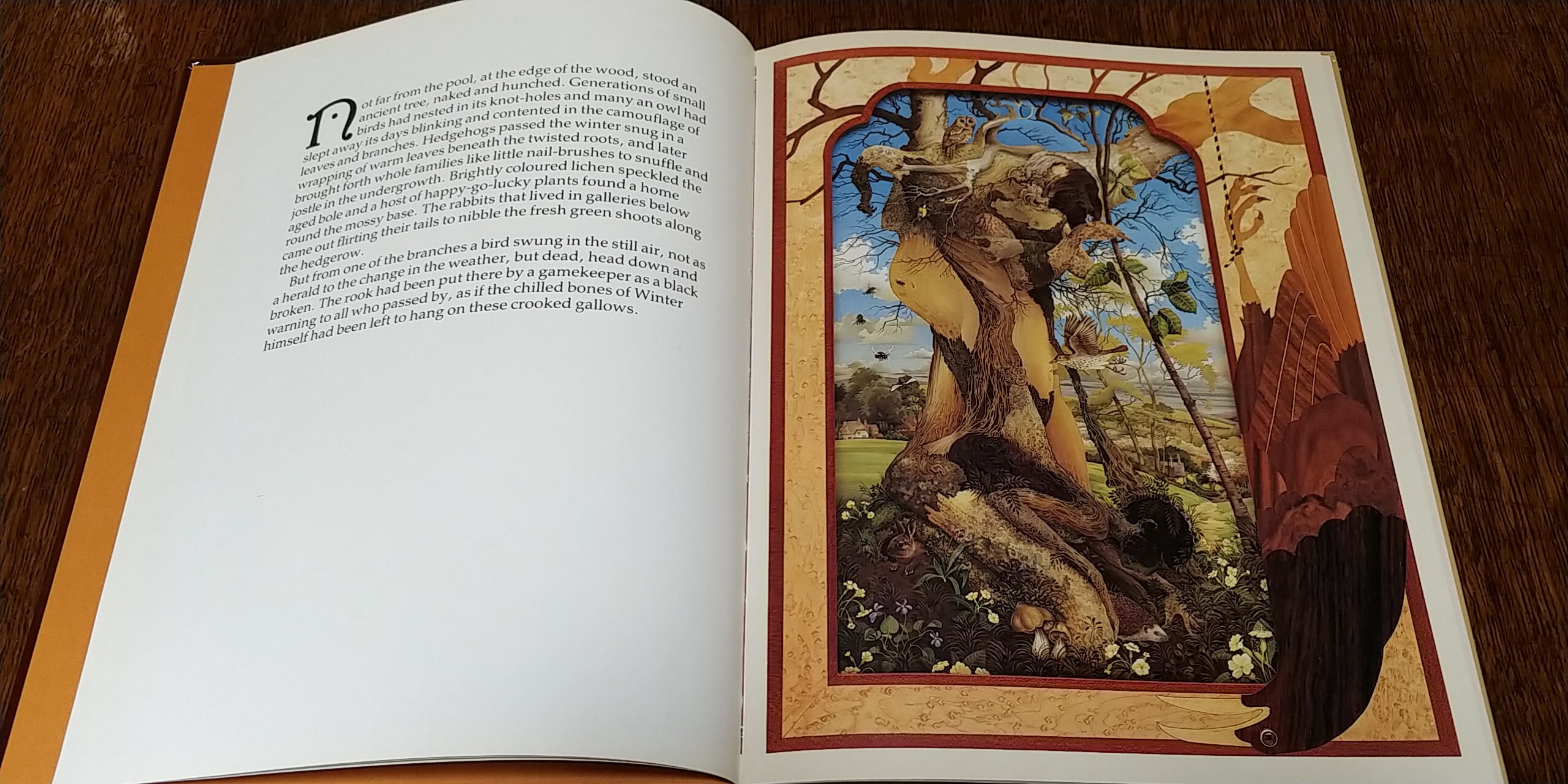 The Bee On The Comb by Kit Williams The Book Without A