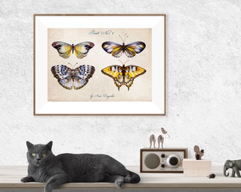 Butterfly print, Butterfly decor, Butterfly art, Butterfly poster, Insect print, Butterfly wall decor, Archival print, Home decor, Nursery
