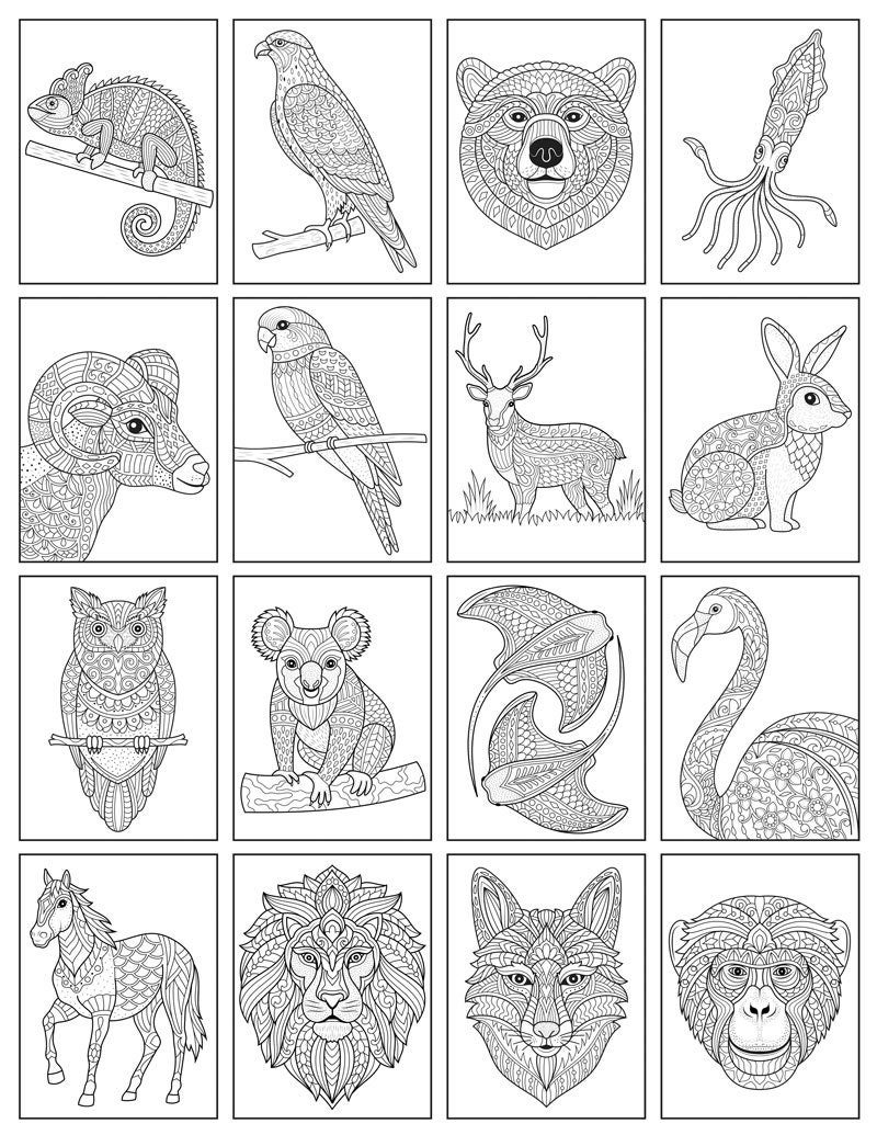 100 animal zentangle coloring pages etsy