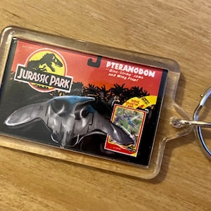 Może przedstawiać: Przezroczysty plastikowy brelok z obrazkiem Pteranodona, dinozaura z filmu Jurassic Park. Obrazek zawiera tekst "Pteranodon" i "Dino-Strike Jaws and Wing Flap!" Brelok zawiera również logo Jurassic Park i tekst "Jurassic Park".