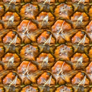 Pineapple fabric cotton single jersey 170 g/m², approx. 150 cm wide carnival pineapple costume fabric