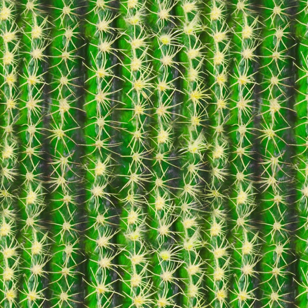 Stoff Kaktusstoff Baumwoll Single Jersey 170 gr/qm, 150 breit Fasching Kaktus Kostüm Stoff