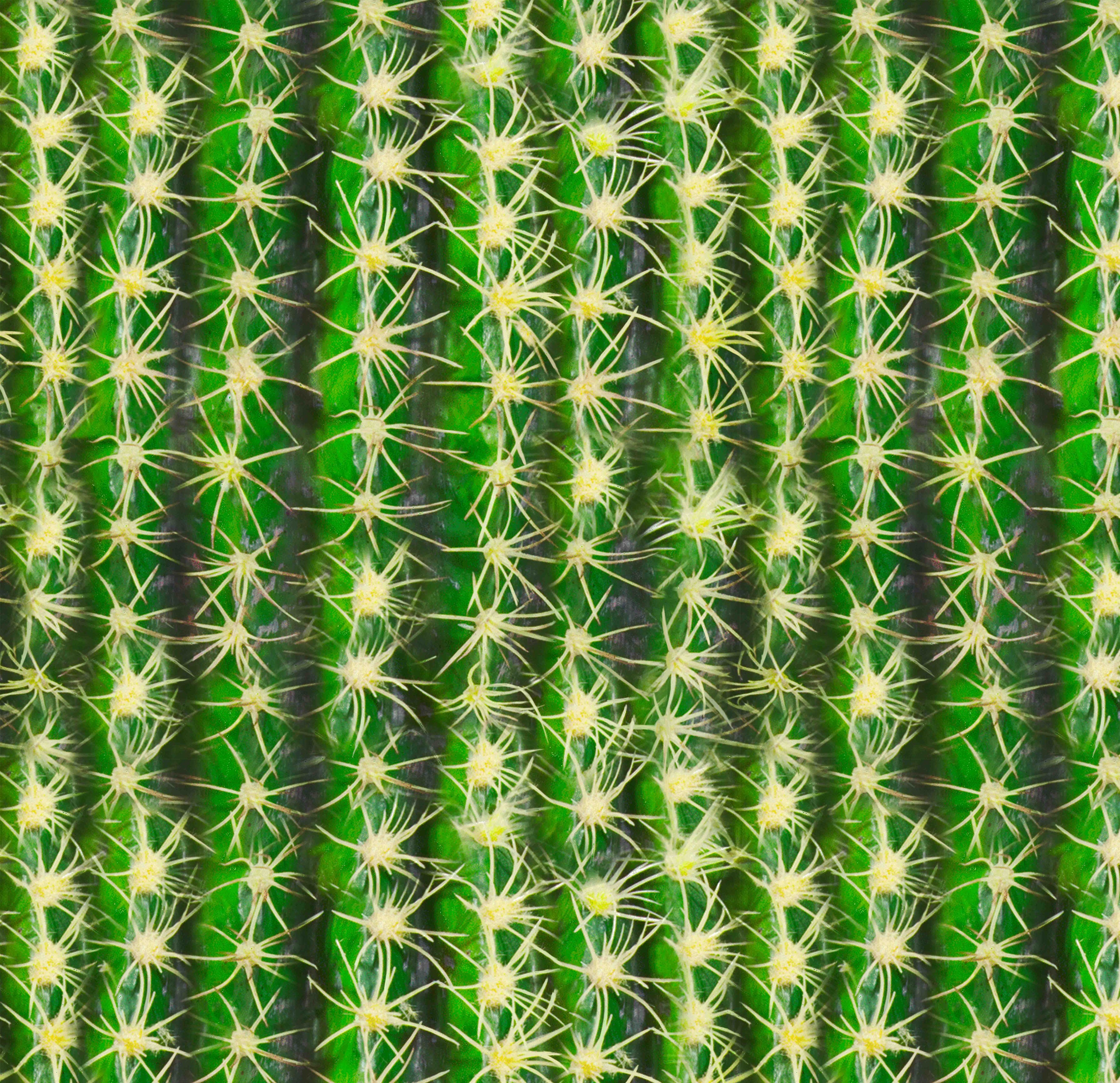 Stoff Kaktusstoff Baumwoll Single Jersey 170 gr/qm, 150 breit Fasching Kaktus  Kostüm Stoff -  Schweiz