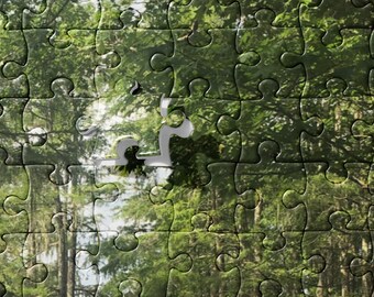 Jigsaw puzzle cypress trees southern