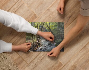 Jigsaw puzzle arkansas water forest scene