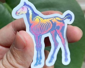 Sticker squelette fantôme holographique effrayant - Sticker imperméable poulain effrayant pour bouteilles d'eau - Sticker pour ordinateur portable