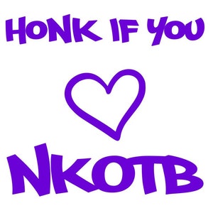 Honk If You 'Love' NKOTB vinyl decal