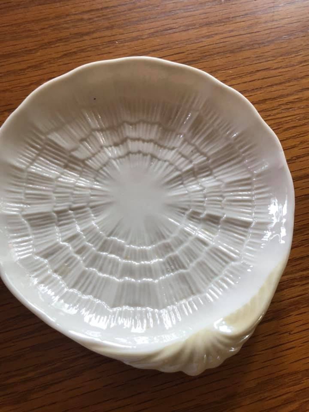Belleek Butter Dish Shell Pattern Tridacna 5 3/4 Inches Etsy