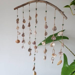 Peut inclure: Mobile d&eacute;coratif fait &agrave; la main avec des coquillages. Une branche de bois incurv&eacute;e suspend plusieurs brins de coquillages et de petites perles vertes. Les coquillages varient en taille et en couleur, allant du cr&egrave;me au brun clair. Le mobile est suspendu devant un mur blanc avec des plantes vertes.