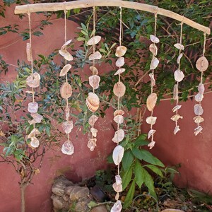Peut inclure: Un carillon &eacute;olien artisanal en coquillages. Le carillon est compos&eacute; de divers coquillages et disques en bois suspendus &agrave; une branche en bois naturel avec de la ficelle. Les coquillages sont dans des tons de blanc, beige et marron.
