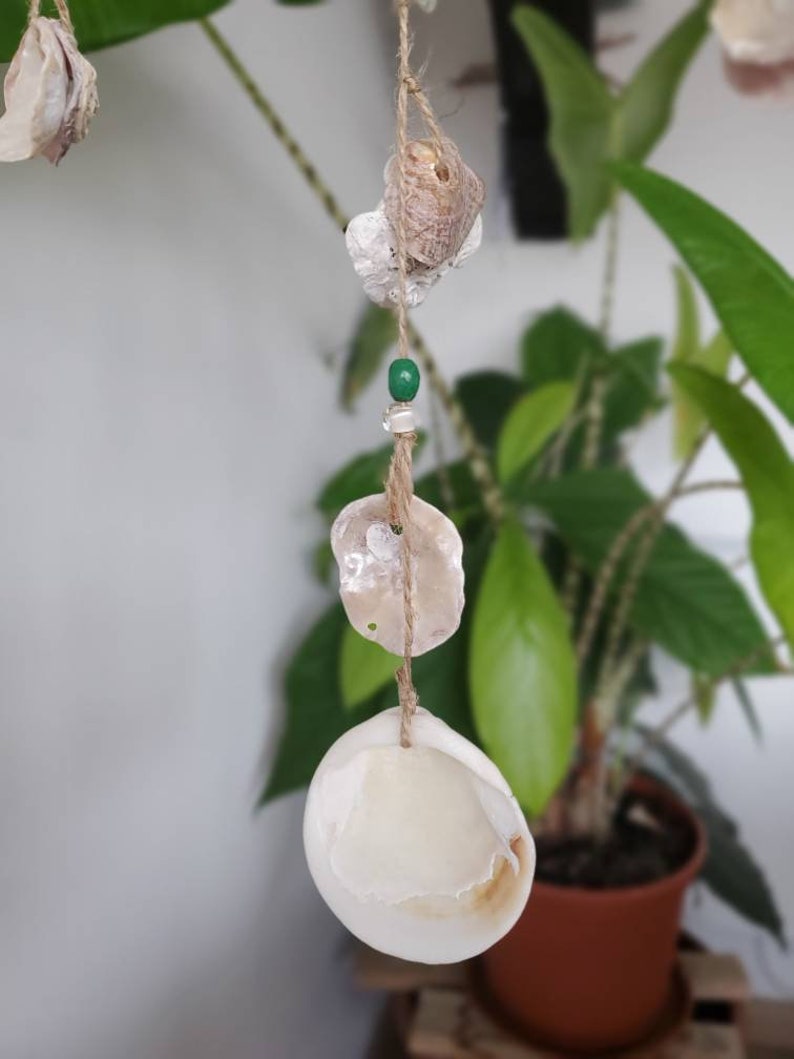 Peut inclure: Mobile de coquillages suspendu &agrave; une ficelle naturelle. Le mobile pr&eacute;sente plusieurs coquillages blancs et beiges de diff&eacute;rentes tailles, reli&eacute;s par une perle verte et des perles transparentes. Des feuilles de plantes vertes et un pot marron sont en arri&egrave;re-plan.