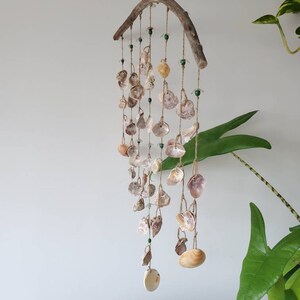 Peut inclure: Un carillon &eacute;olien artisanal en coquillages. Il est compos&eacute; d'une branche de bois flott&eacute; incurv&eacute;e, orn&eacute;e de plusieurs rang&eacute;es de coquillages de diff&eacute;rentes formes et couleurs, notamment blanc, beige et violet. Des perles vertes sont intercal&eacute;es. Le carillon est suspendu &agrave; un fil blanc fin.