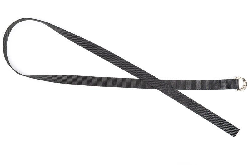 K&ouml;nnte beinhalten: Ein schwarzes Nylonband mit einem silbernen D-Ring aus Metall.