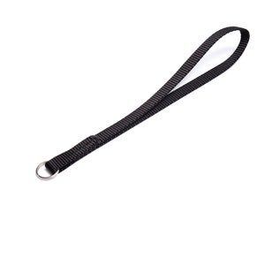 May include: A black camera strap with a silver metal ring at one end.
