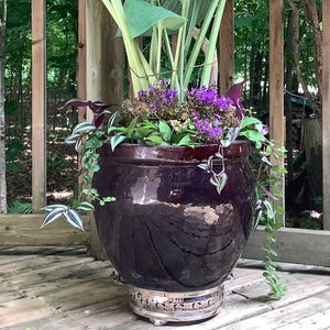 May include: A large, dark purple glazed ceramic planter filled with various plants, including large-leafed hostas, purple flowers, and trailing greenery. The planter sits on a decorative silver metal stand, with a wooden deck and forest in the background.