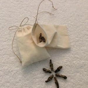 Sachets de thé réutilisables, Zéro déchet, Coton biologique, Filtre écologique, Sachet de thé en vrac, Petit sachet avec cordon de chanvre, Sac biodégradable