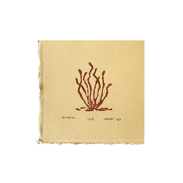 Ocotillo Etsy