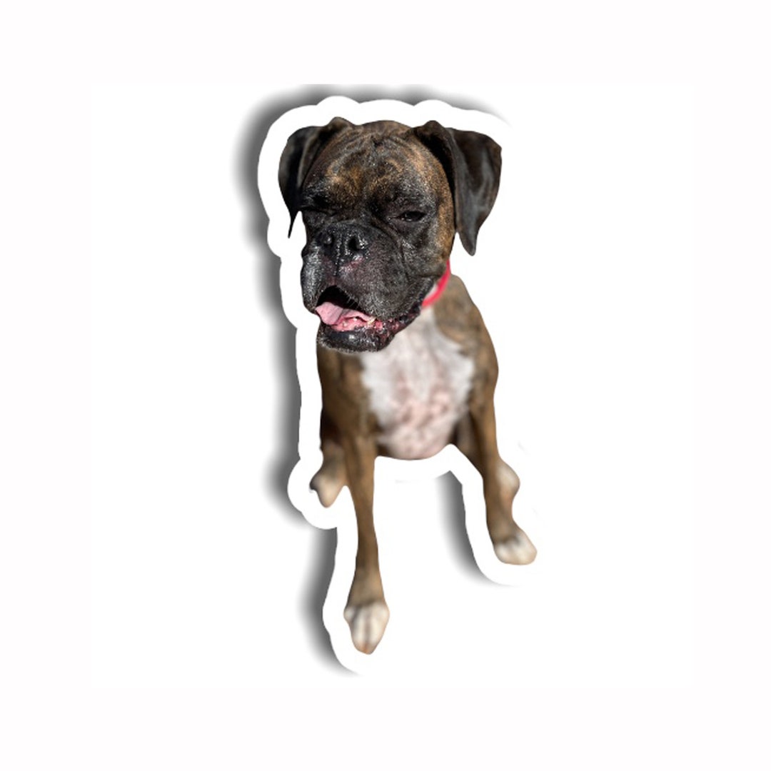 Boxer Dog Sticker Vinyl Sticker, UV Resistant Decal Die Cut Stickers Etsy