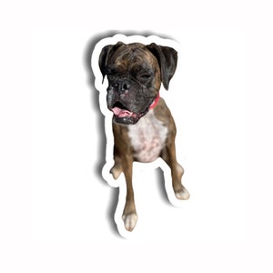 Boxer Dog Sticker -  Vinyl Sticker, UV resistant Decal - Die Cut Stickers