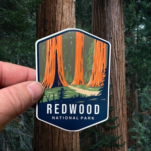 Redwood National Park -  Vinyl Bumper Sticker #324