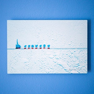 Iditarod Aerial