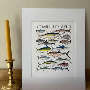 May include: A white framed print with the title "Off Shore Fish of New Jersey" and illustrations of various fish species, including tuna, marlin, swordfish, and mahi mahi.