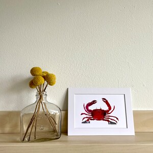 Crab with Vans 5x7