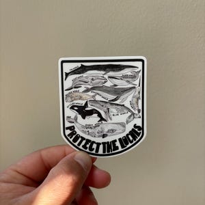 May include: A white sticker with a black border and the text "PROTECT THE LOCALS" in a bold, black font. The sticker features a variety of whale species, including a blue whale, humpback whale, sperm whale, and killer whale. Each whale is labeled with its name.