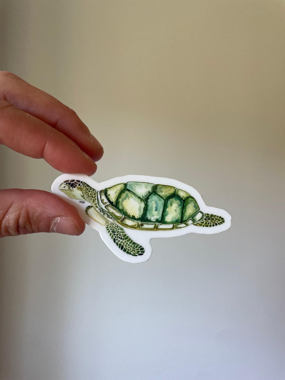 Watercolor Sea Turtle Sticker - Waterproof UV Protectant - Etsy