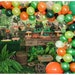 see more listings in the Balloon Garland section