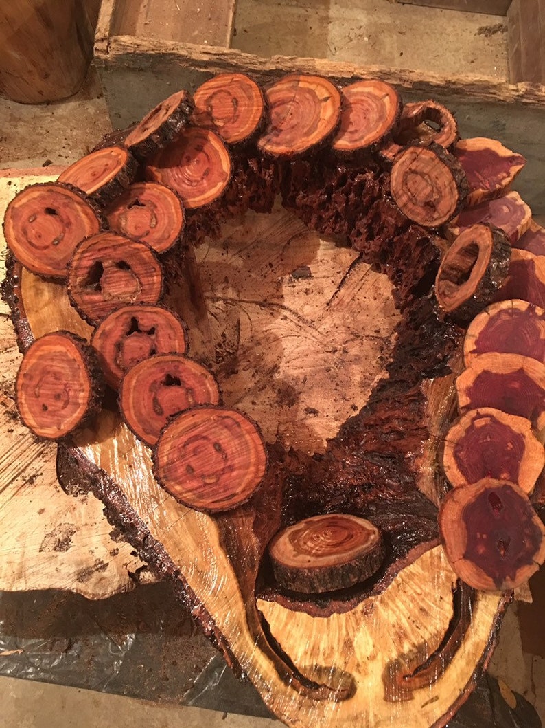 Eastern Red Cedar, Dogwood, Redbud