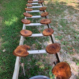 May include: A ladder with wooden round slices stacked on it. The slices are various sizes and have a natural wood finish.