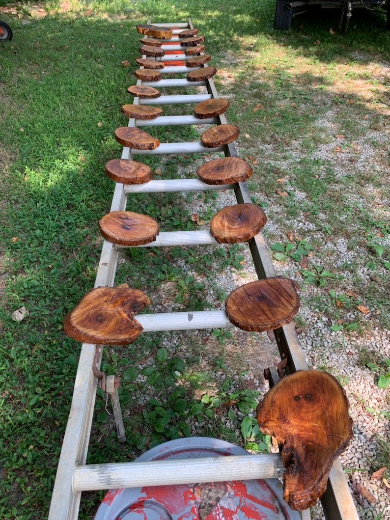 May include: A ladder with wooden round slices stacked on it. The slices are various sizes and have a natural wood finish.