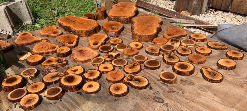 A little of everything:  Persimmon, Oak,Maple