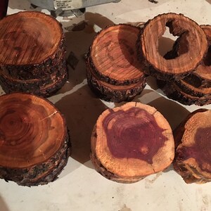Dogwood and Eastern Red Cedar