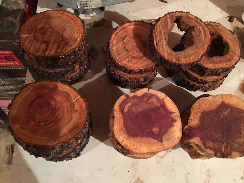 Dogwood and Eastern Red Cedar