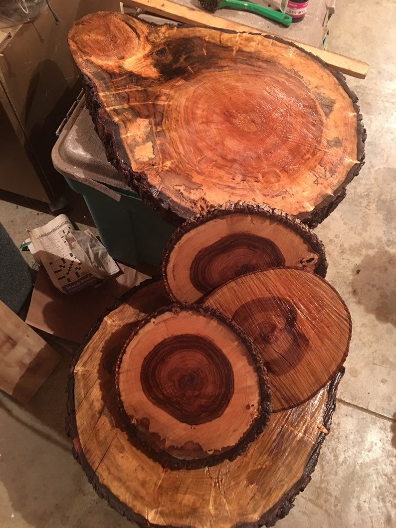 Various: Black Oak, Persimmon, Beech