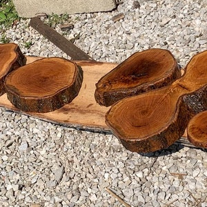 May include: A set of eight wooden slices, varying in size and shape, with a natural wood grain and a dark brown finish. The slices are arranged on a long, flat piece of wood.